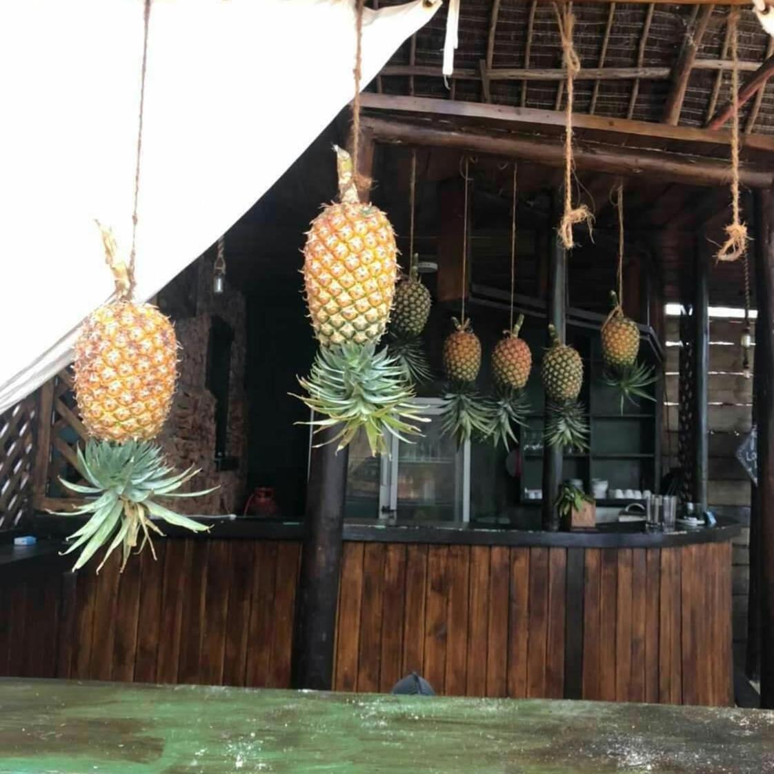 Pazuri Kendwa Hotell *